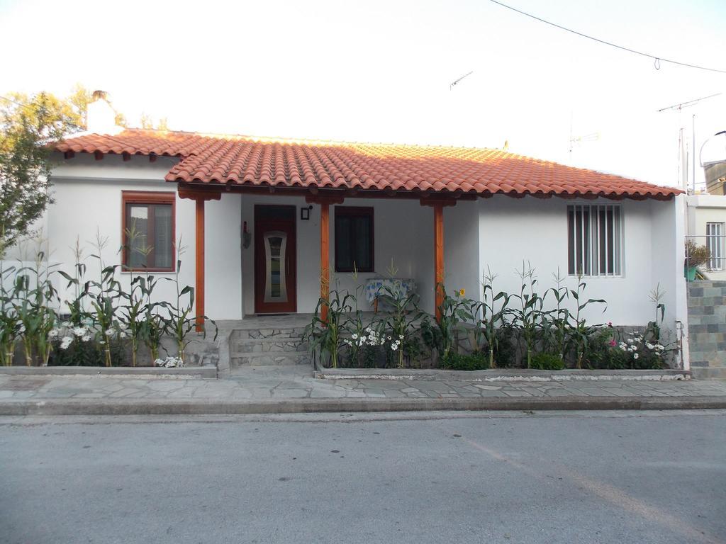 Galina Holiday Home Agios Evstratios المظهر الخارجي الصورة